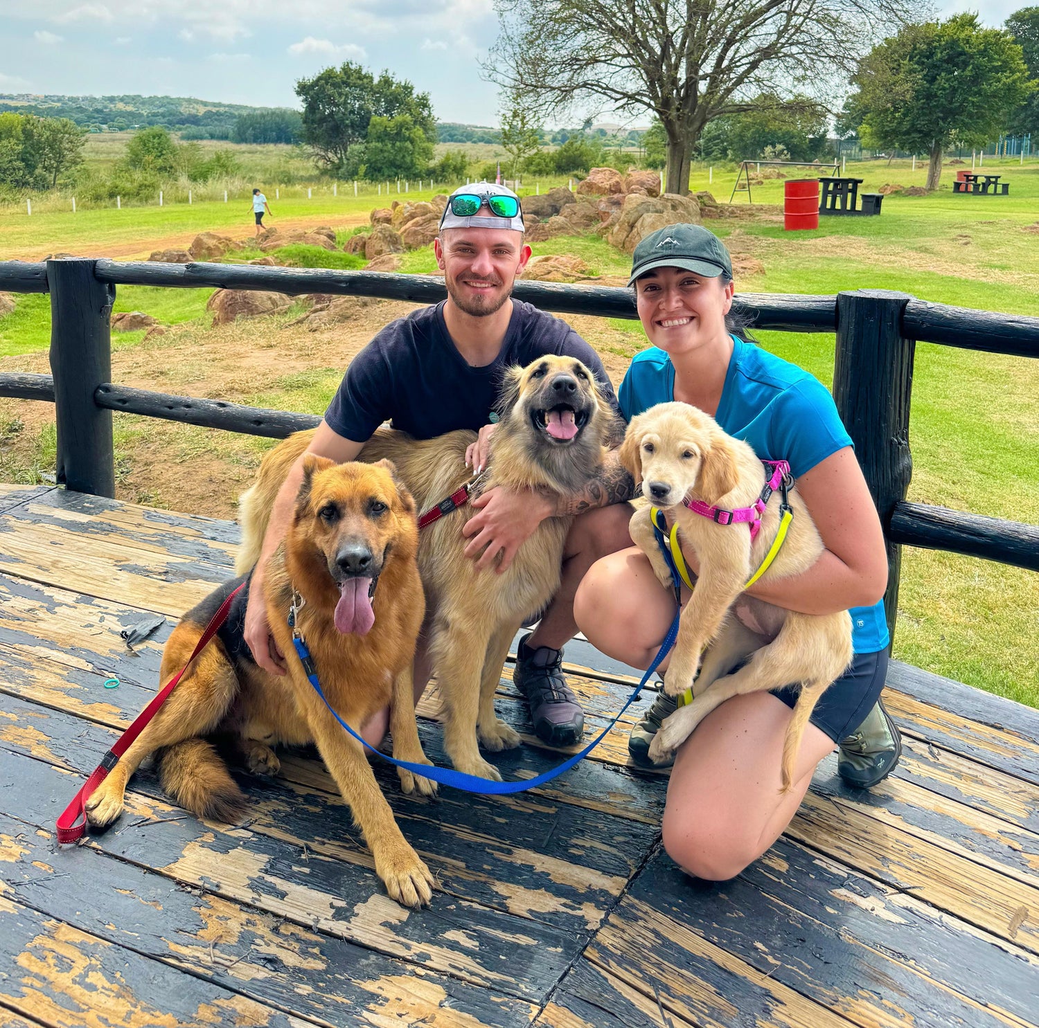 Two people with three dogs on a wooden platform in an outdoor setting
